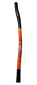 Vicki Harding Didgeridoo (TW389)