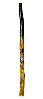 Vicki Harding Didgeridoo (TW393)