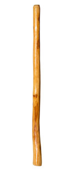 Gloss Finish Didgeridoo (TW397)
