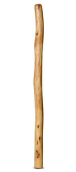 Medium Size Natural Finish Didgeridoo (TW418)
