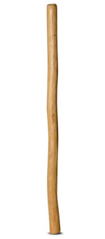 Medium Size Natural Finish Didgeridoo (TW419)