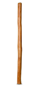 Medium Size Natural Finish Didgeridoo (TW422)